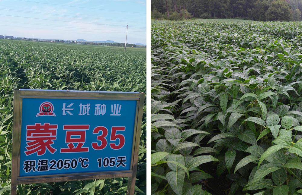 1553763957621337.jpg 3333.jpg