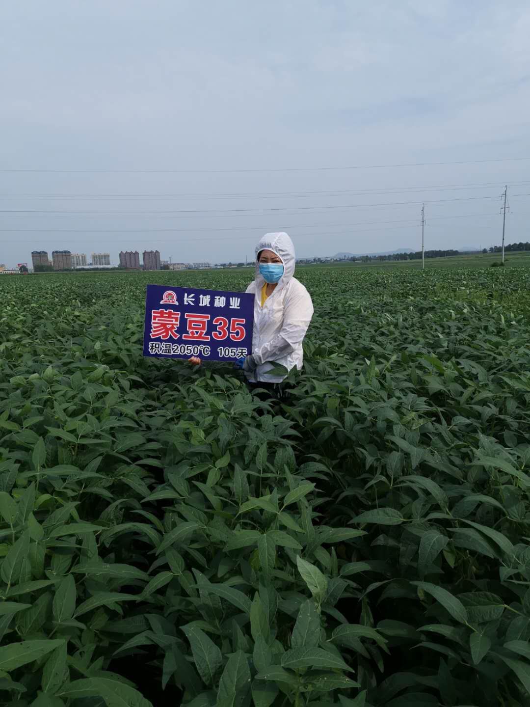 1600396824743207.jpg mmexport1600236671320.jpg